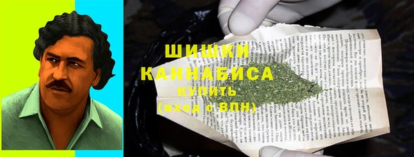 соль ск Нея