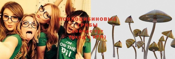 спиды Нефтекумск