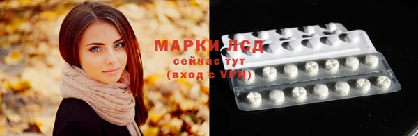 спиды Нефтекумск