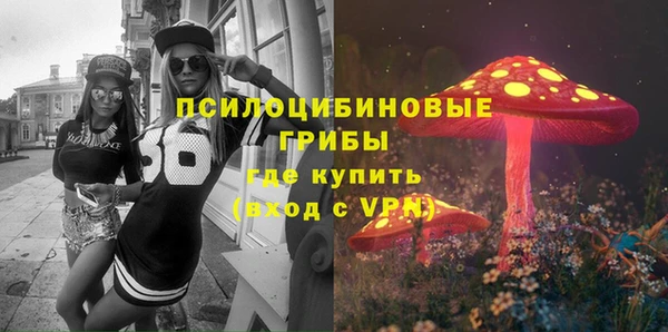 спиды Нефтекумск