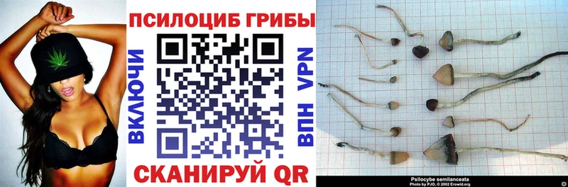 Псилоцибиновые грибы прущие грибы  Тырныауз 